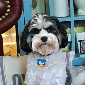 Meet your Posher, Wendy